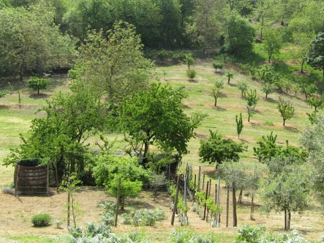Rustico in vendita a Unione dei comuni Valli del Reno, Lavino e Samoggia, Monte San Pietro