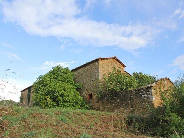 Rustico in vendita a Monte San Savino, Toscana