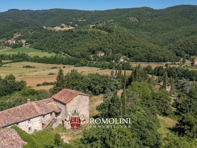 Rustico in vendita a Monte Santa Maria Tiberina, Umbria