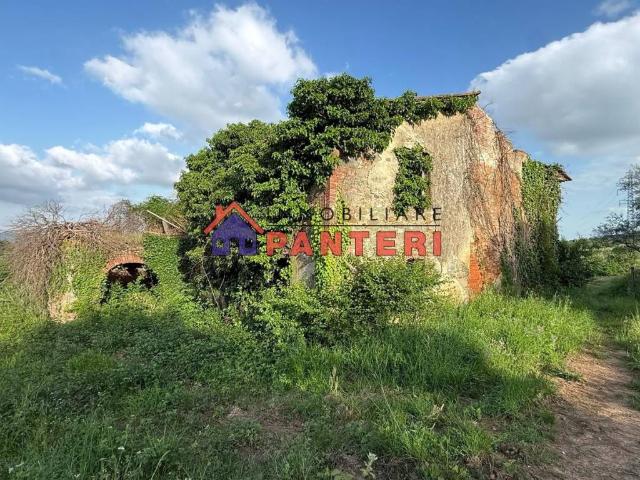 Rustico in vendita a Montecarlo, Toscana
