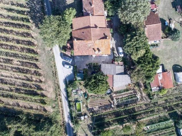 Rustico in vendita a Montecarlo, Toscana