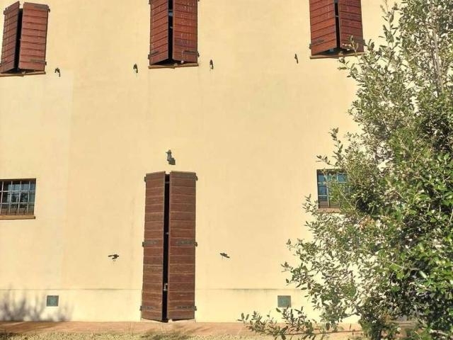 Rustico in vendita a Montecarotto, Ancona