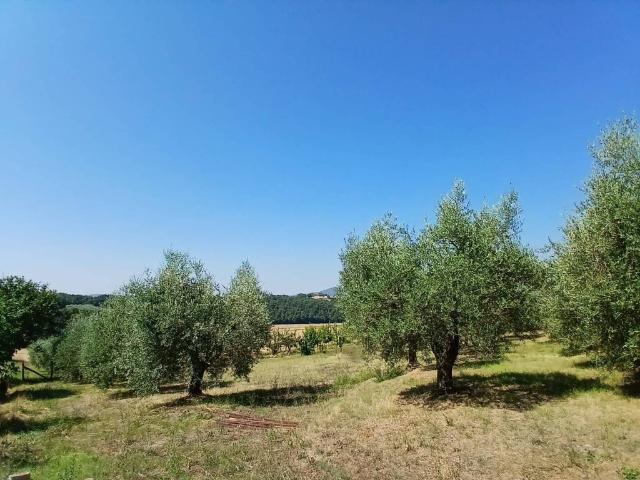 Rustico in vendita a Montecastrilli, Umbria
