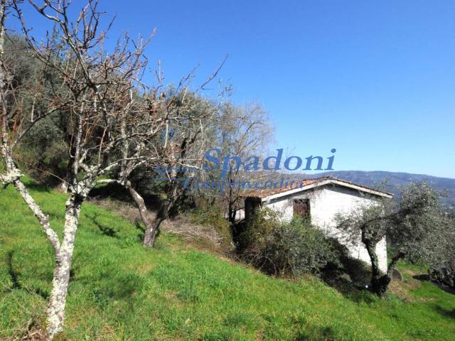 Rustico in vendita a Montecatini Alto, Montecatini Terme