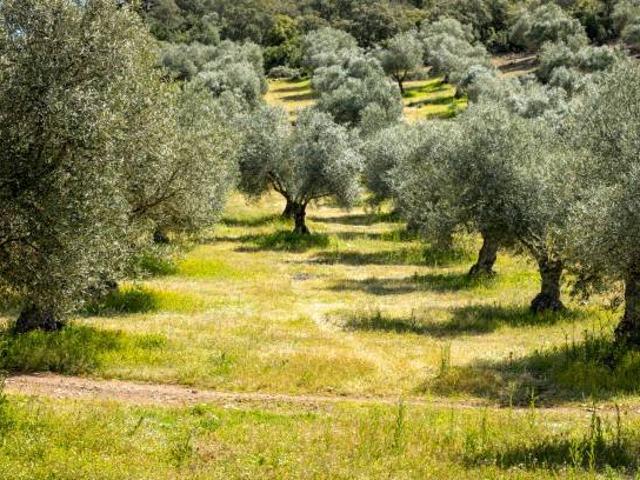Rustico in vendita a Gallo, Montecatini Terme