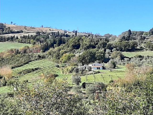Rustico in vendita a San Michele, Montecatini Val Di Cecina