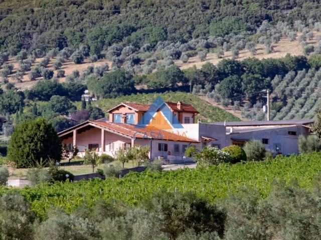 Rustico in vendita a San Martino, Montecchio