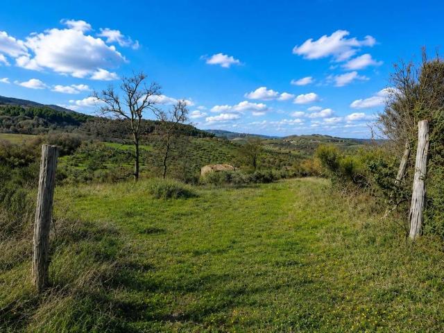 Rustico in vendita a Montecchio, Umbria