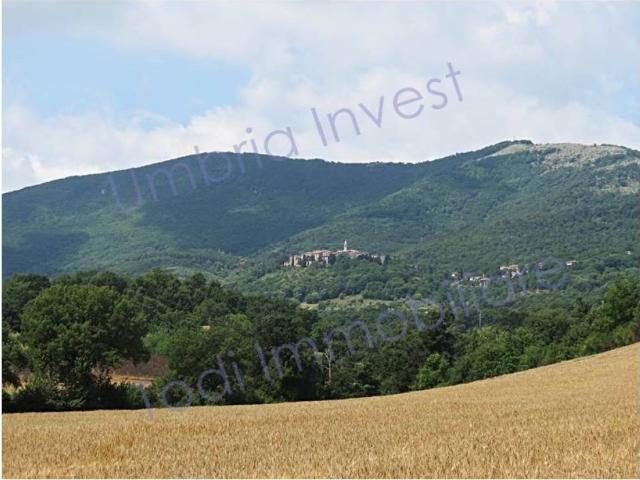 Rustico in vendita a Montecchio, Umbria