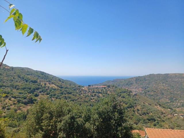 Rustico in vendita a Montecorice, Campania