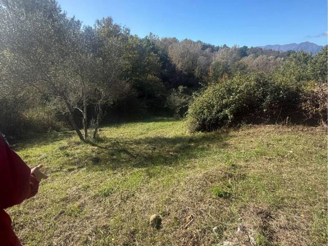 Rustico in vendita a Montaperto, Prata Principato Ultra