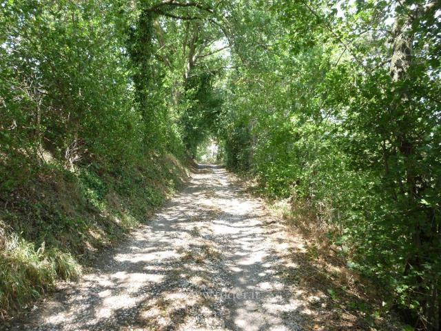 Rustico in vendita a Montefalco, Umbria