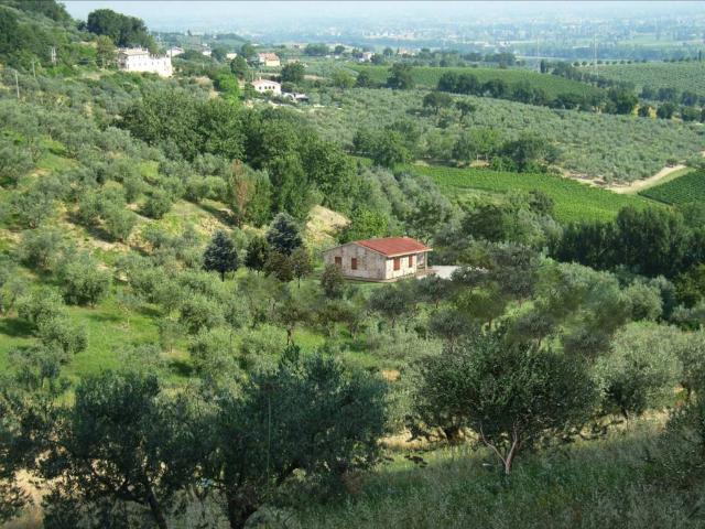 Rustico in vendita a Montefalco, Umbria