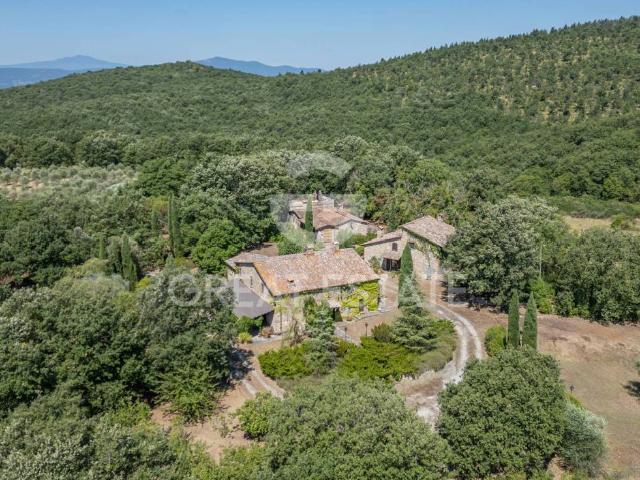 Rustico in vendita a Montegabbione, Terni