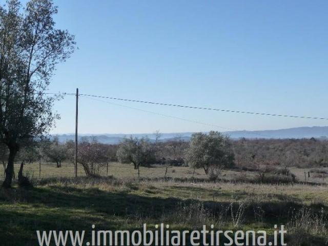 Rustico in vendita a Montegabbione, Terni