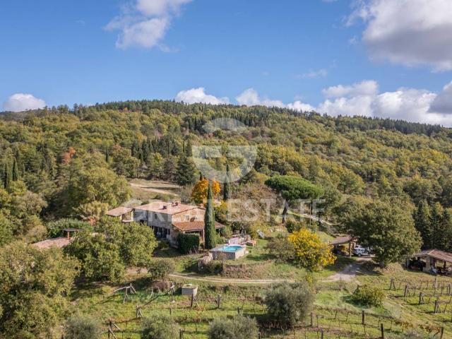 Rustico in vendita a Montegabbione, Terni