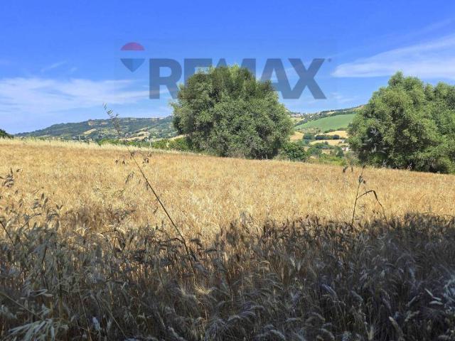 Rustico in vendita a Marche, Fermo