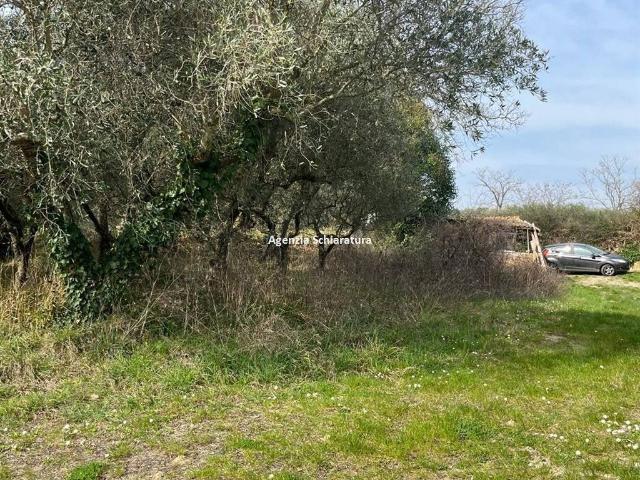 Rustico in vendita a San Pietro, Montegridolfo