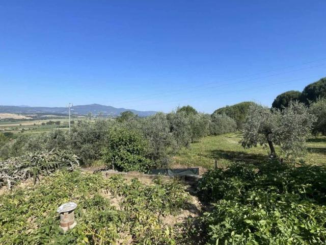 Rustico in vendita a Monteleone D'orvieto, Umbria