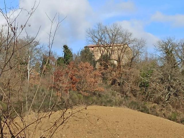 Rustico in vendita a Santa Maria, Monteleone D'orvieto