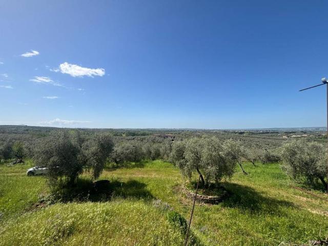 Rustico in vendita a Roma Capitale, Lazio