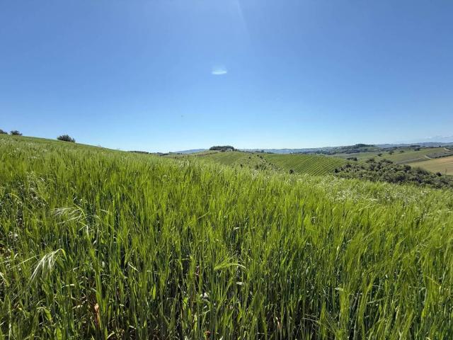 Rustico in vendita a Sant'Anna, Marche