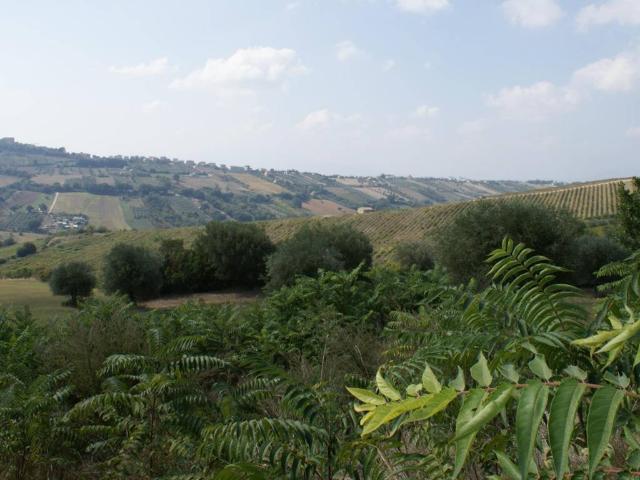 Rustico in vendita a Bora Ragnola, Marche