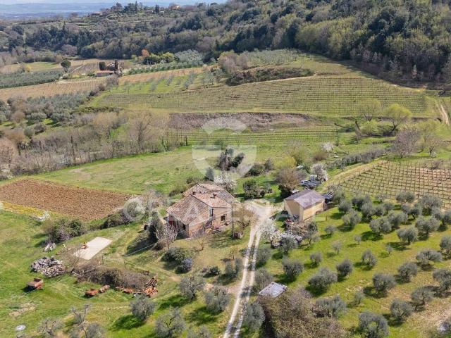 Rustico in vendita a Abbadia Di Montepulciano, Toscana
