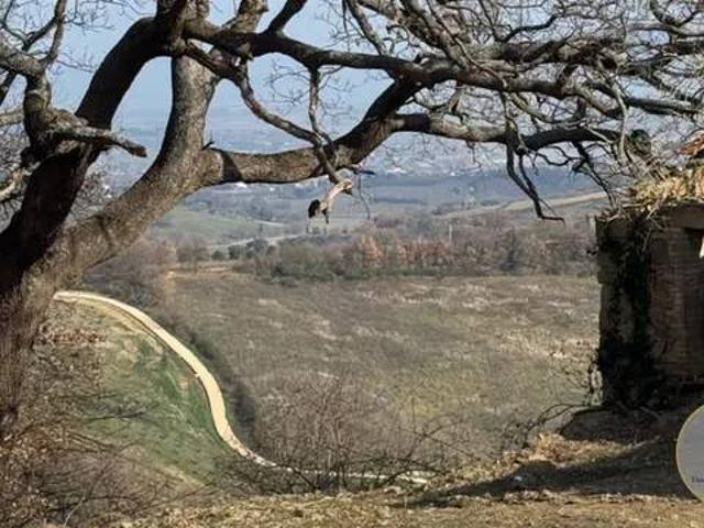 Rustico in vendita a Abbadia Di Montepulciano, Toscana