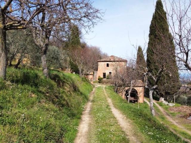 Rustico in vendita a Abbadia Di Montepulciano, Toscana