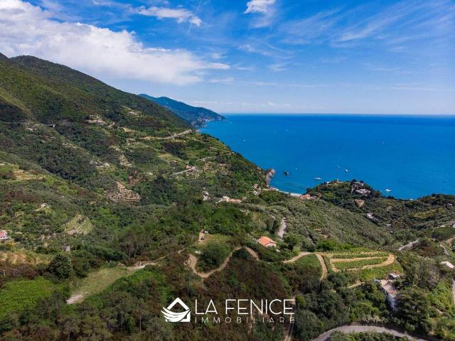 Rustico in vendita a Monterosso Al Mare, Liguria