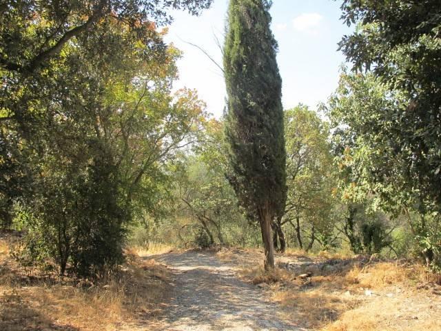 Rustico in vendita a Monterotondo Marittimo, Grosseto