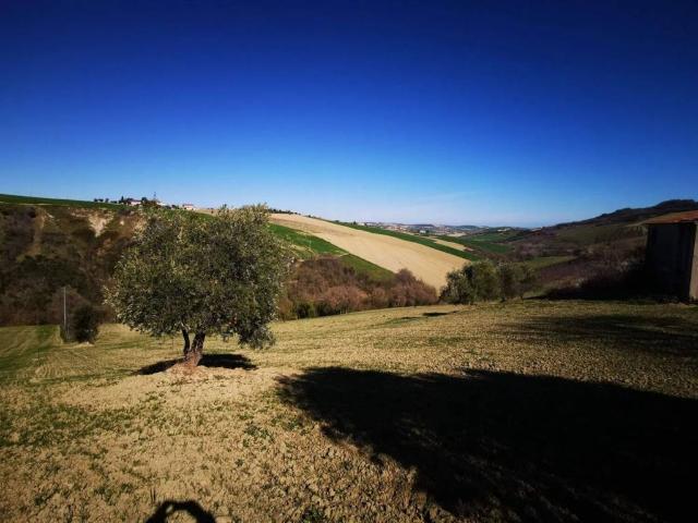 Rustico in vendita a Moresco, Fermo