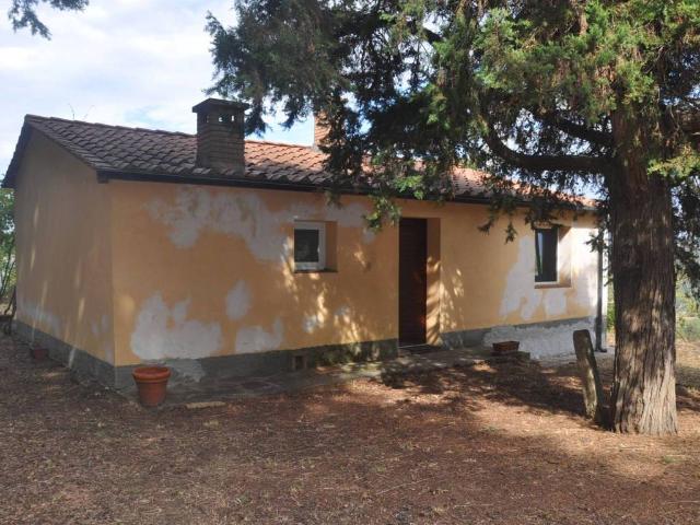 Rustico in vendita a Montescudaio, Toscana