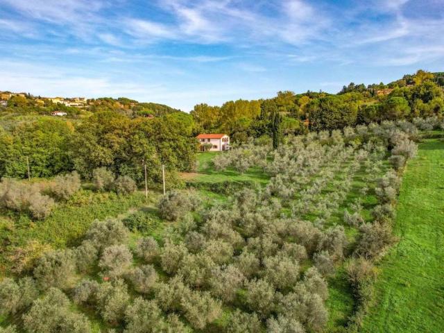 Rustico in vendita a Montescudaio, Toscana