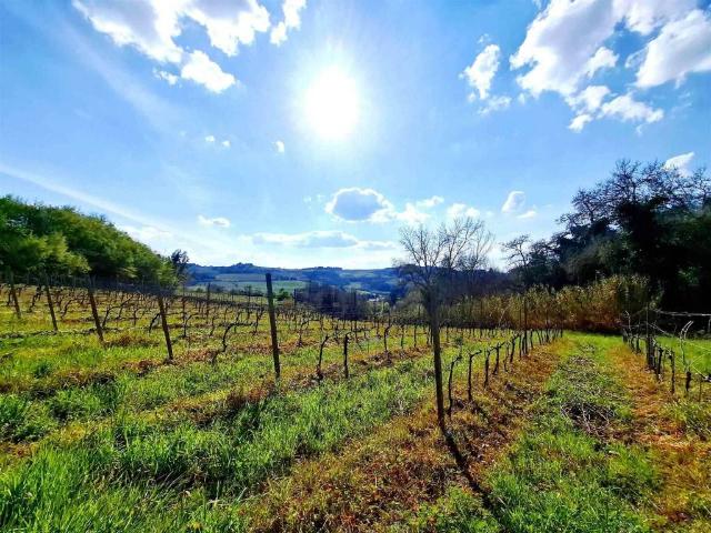 Rustico in vendita a Unione dei Comuni Circondario dell'Empolese Valdelsa, Montespertoli