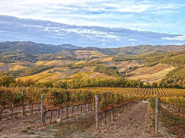 Rustico in vendita a Unione dei Comuni Circondario dell'Empolese Valdelsa, Montespertoli