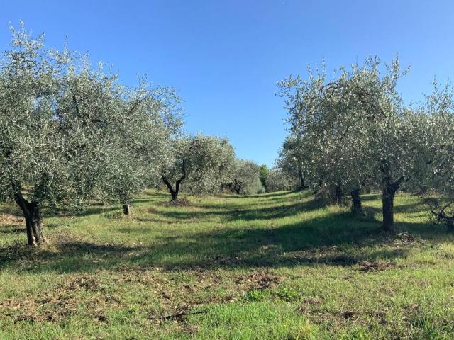 Rustico in vendita a Unione dei Comuni Circondario dell'Empolese Valdelsa, Montespertoli