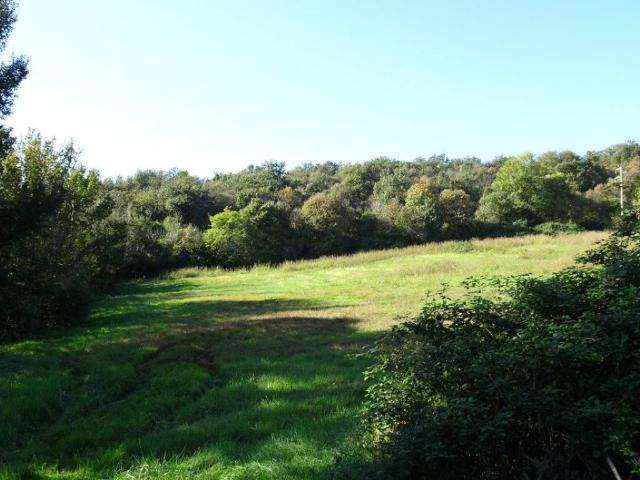 Rustico in vendita a Monteviale, Veneto