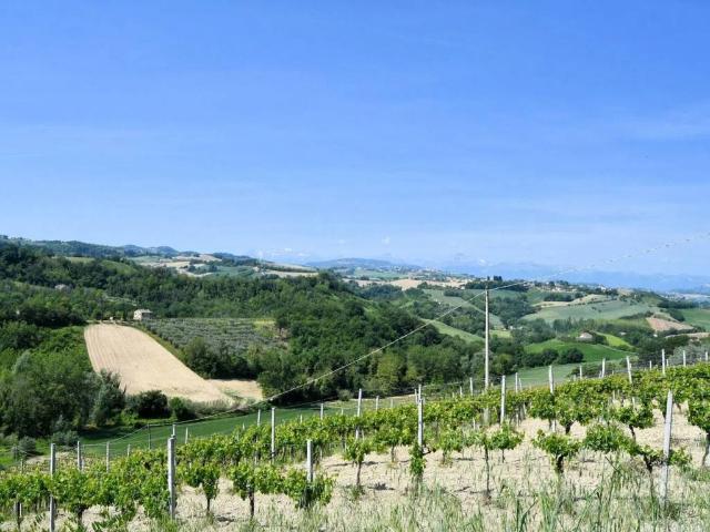 Rustico in vendita a Marche, Fermo