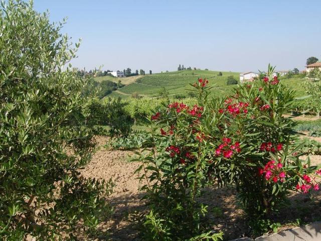 Rustico in vendita a Marcadello, Montù Beccaria
