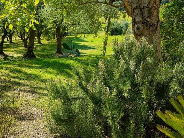 Rustico in vendita a Montone, Mosciano Sant'angelo