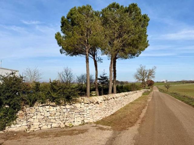 Rustico in vendita a Puglia, Taranto