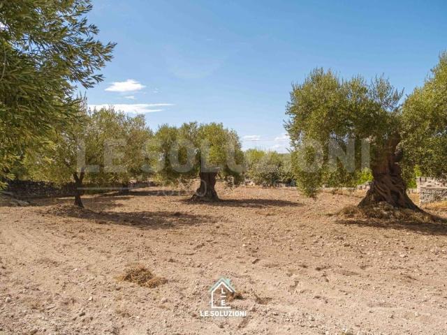 Rustico in vendita a Puglia, Taranto