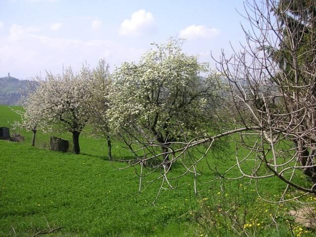 Rustico in vendita a Piemonte, Cuneo
