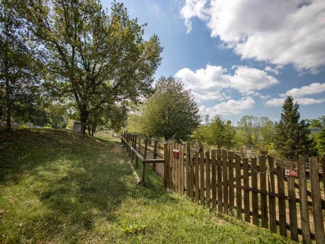 Rustico in vendita a Piemonte, Cuneo