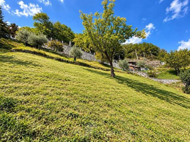 Rustico in vendita a Croda, Musso