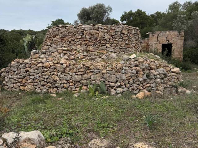Rustico in vendita a Torre Inserraglio, Puglia