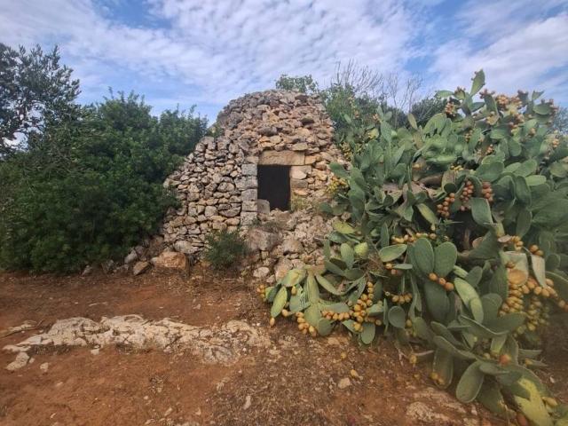 Rustico in vendita a Puglia, Lecce