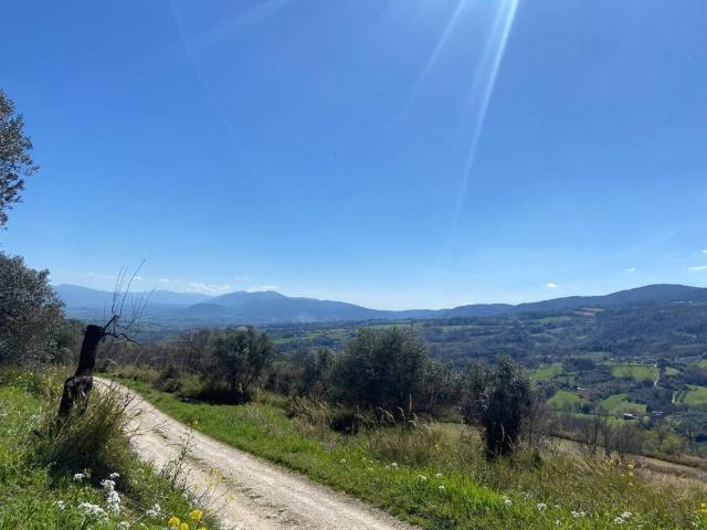 Rustico in vendita a Narni, Umbria